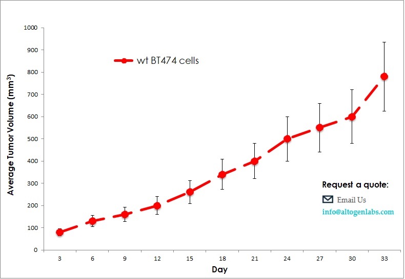 BT474 Xenograft Model