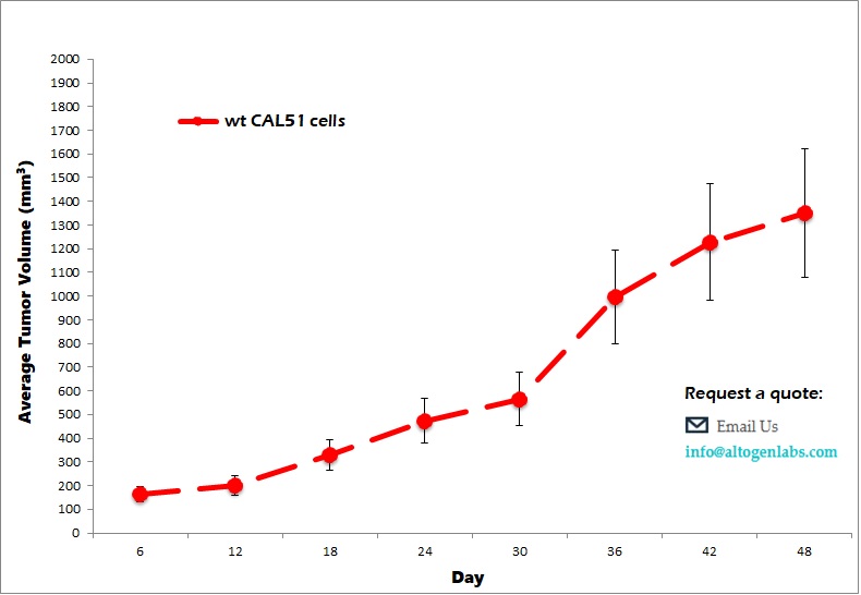 CAL-51 Xenograft Model