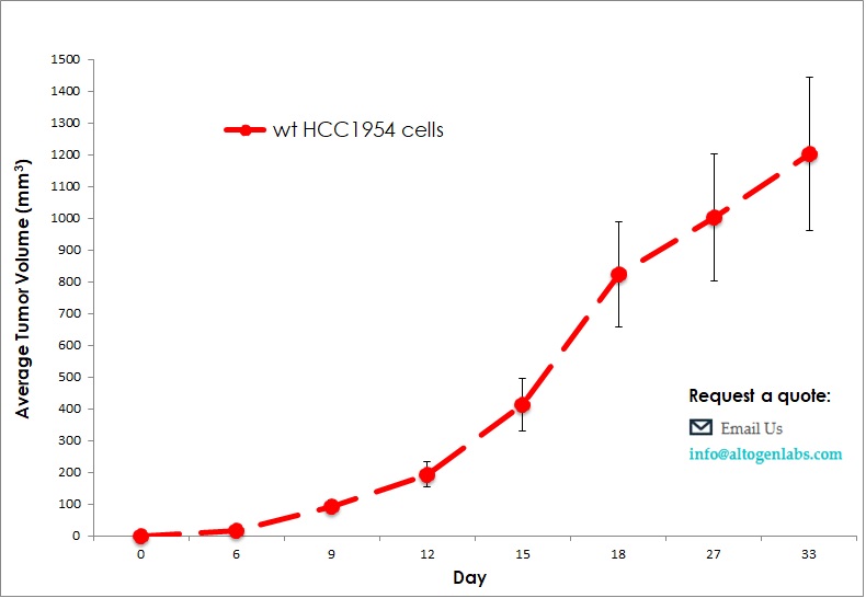 HCC1954 Xenograft