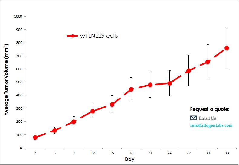 LN229 xenograft